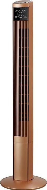 Immagine prodotto Biswind Ventilatore a torre (50 dB)