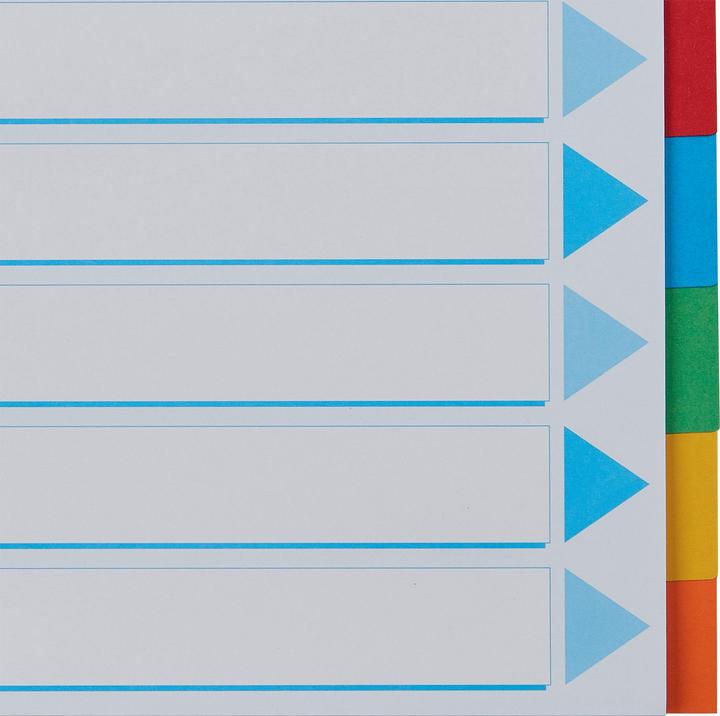 Actual product image Esselte Register Cardboard coloured