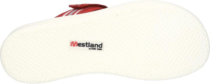 Actual product image Westland 25404-410 (39)