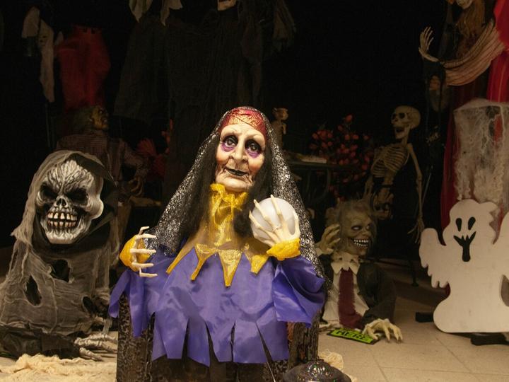 Produktbild Europalms Halloween Figur Wahrsagerin, animiert 50cm