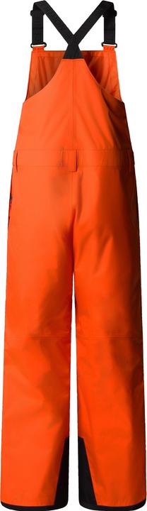 Actual product image North Face Teen Freedom Insulated Bib (XL)