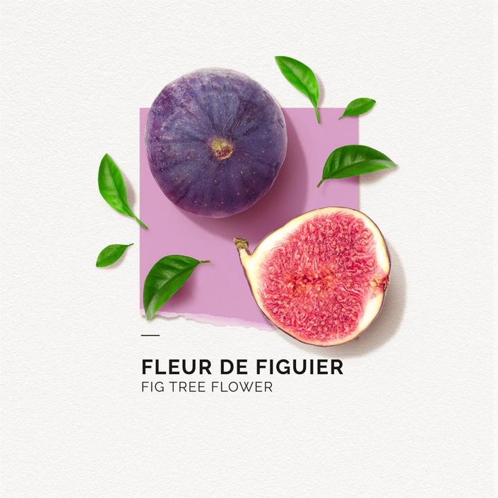 Image du produit Solinotes Paris Solinotes - Fleur De Figuier Eau De Parfum (Eau de parfum, 50 ml)