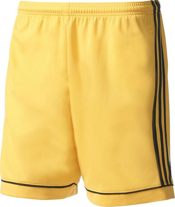 adidas Squadra 17 Short (164)