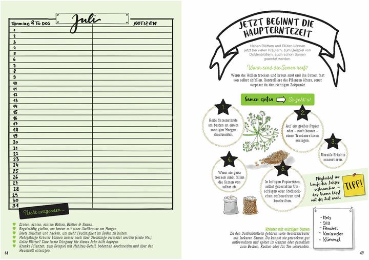 Actual product image Mein Kräuter-Jahr - Das informative Bullet Journal - Monat für Monat (German, Diana Meier-Soriat, 2025)