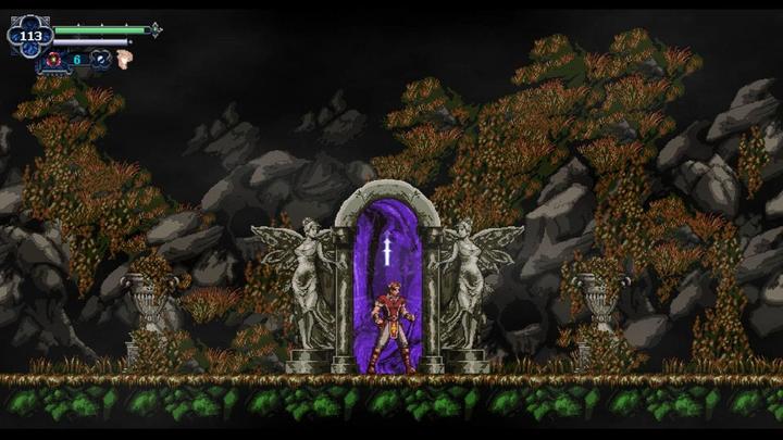 Produktbild Pqube Chronicles of the Wolf Switch (Switch, DE)