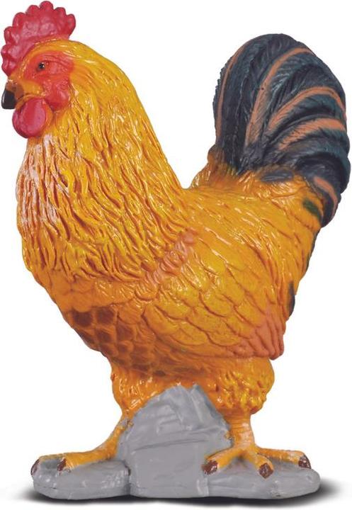 Immagine prodotto Collecta Cazzo giovane