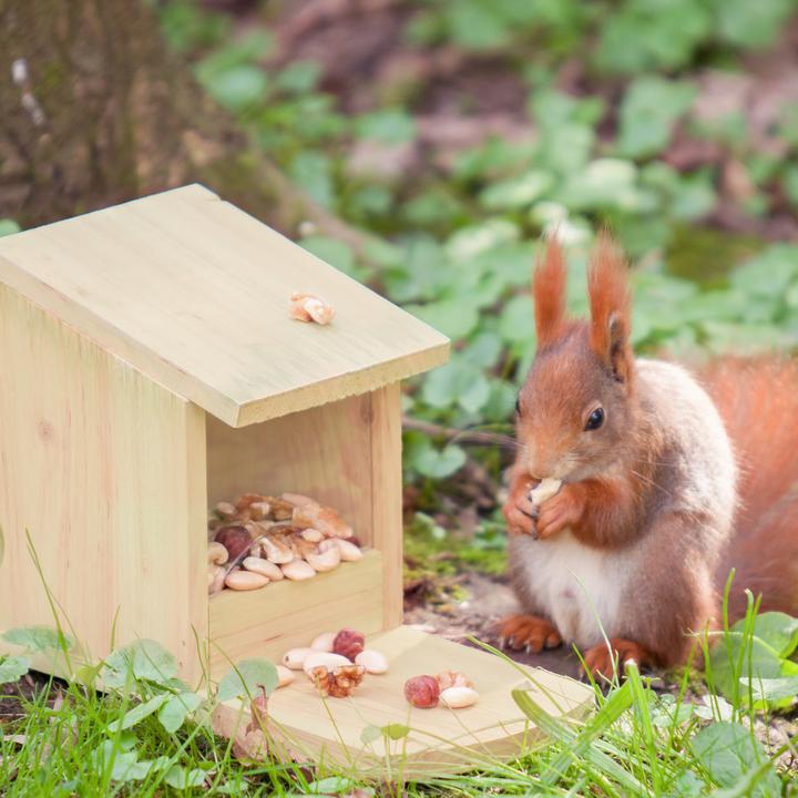 Actual product image Relaxdays Squirrel feeding house