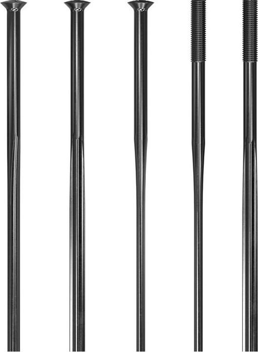 Actual product image DT Swiss Revolite Straightpull (29")
