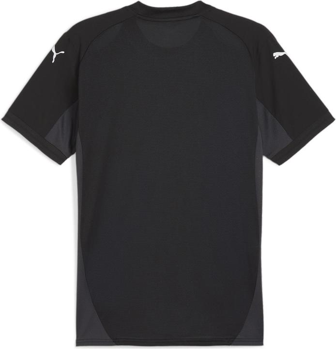 Actual product image Puma teamFINAL Jersey (M)