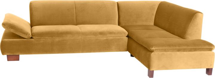 Image du produit Max Winzer Terrence (Canapé d'angle)