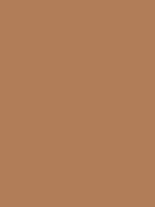 Produktbild Bleuforêt Nude Strumpfhose 12D (L/XL)