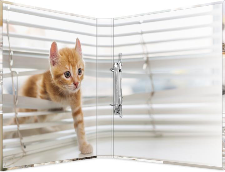 Produktbild HERMA Katzen (A4, 35 mm, 1 Stück)