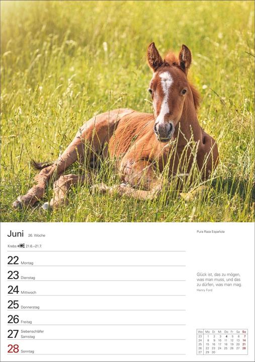 Image du produit Harenberg Pferde Wochenplaner 2026 - 53 faszinierende Fotografien (Allemand)