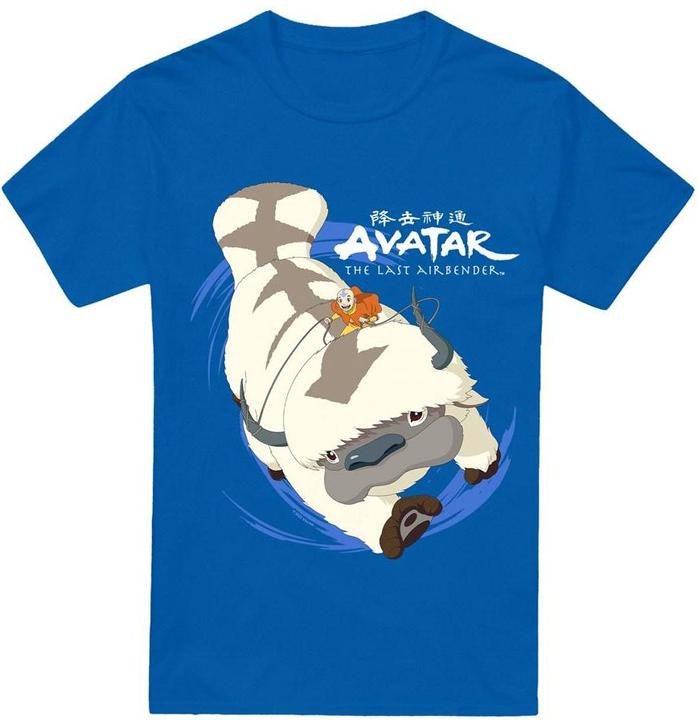 Produktbild Avatar: The Last Airbender In Flight TShirt (4XL)