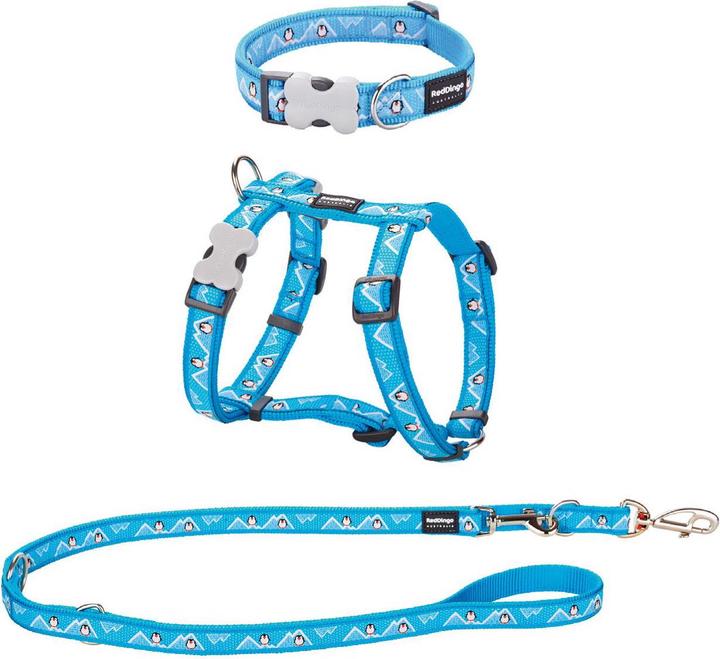 Red Dingo Puppy Kit (XS, Hund, Hundesport)