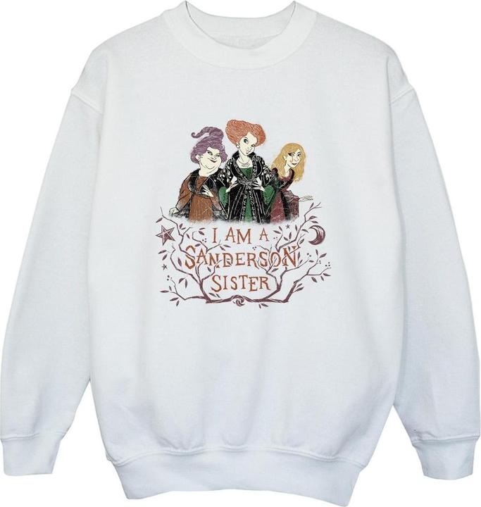 Disney Hocus Pocus Sanderson Sister Sweatshirt Jungen