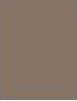 Actual product image Maybelline New York Build-A-Brow (Ash Brown)