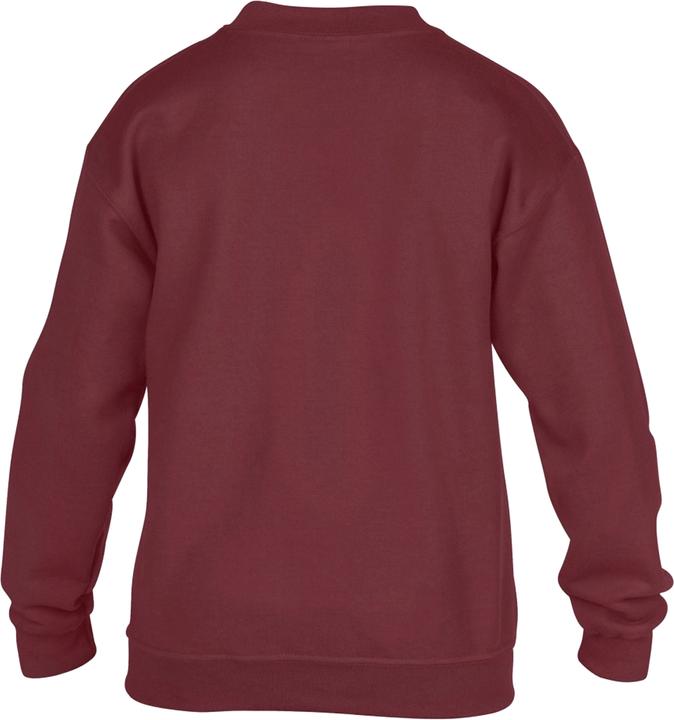 Actual product image Gildan Sweatshirt with round neck (pack of 2) (XS)