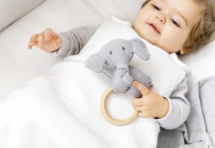 Actual product image Nattou Teething ring