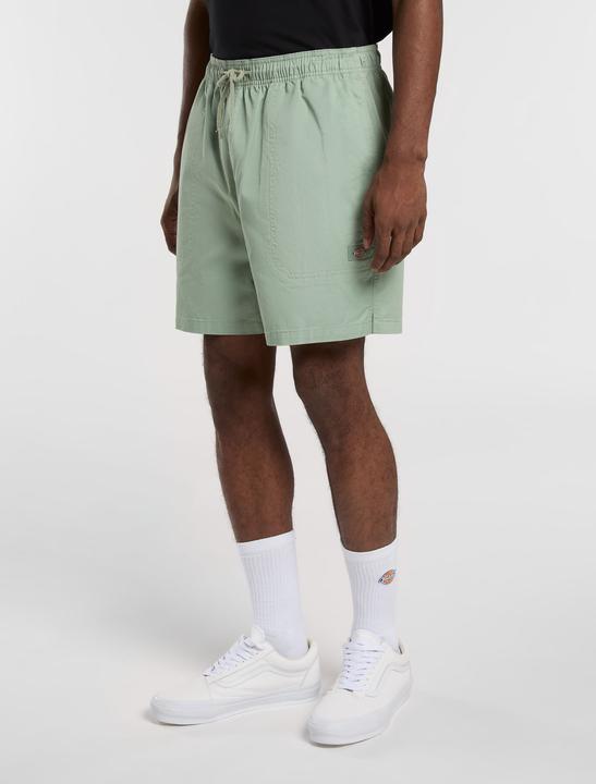 Image du produit Dickies Pelican Rapids (L)