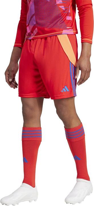 Actual product image adidas TIRO24 SHORT (XL)