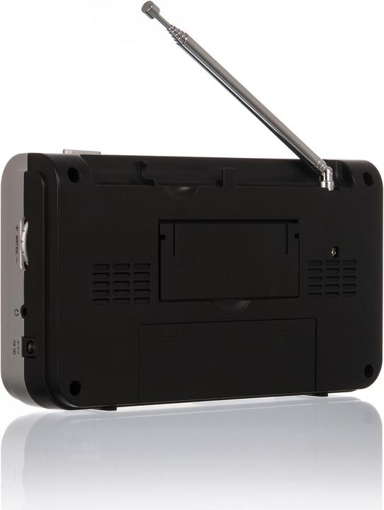 Image du produit Dual Dab 4.1 (DAB+ DAB)