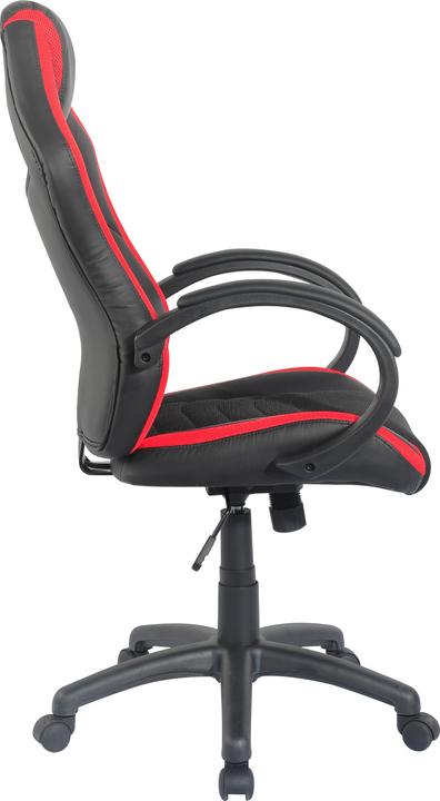 Actual product image Homexperts Hornet