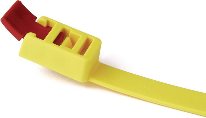 HellermannTyton Colliers de serrage (Serre-câbles en plastique, 752 mm, 1 pcs)