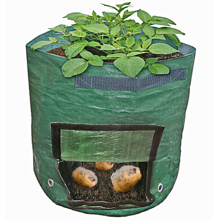 Image du produit Grüner Jan Sac de plantation avec fenêtre de récolte