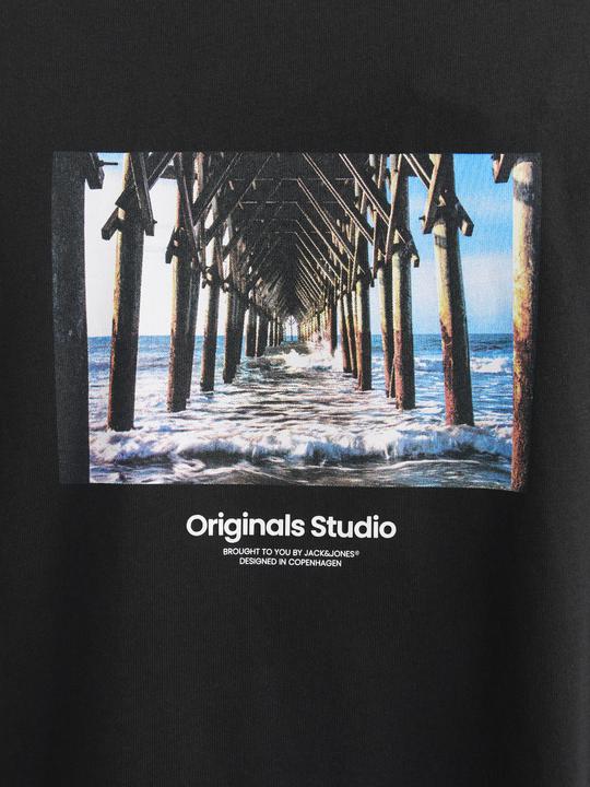 Produktbild Jack & Jones Jorvesterbro Picture Tee Ss Crew Neck Sn (M)