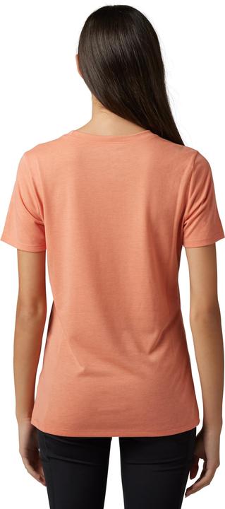 Fox Tee 23 W Absolute Ss Tech Slmn S (S)