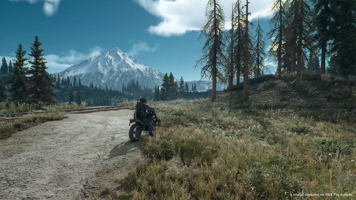 Produktbild Sony Days Gone (PS4, IT, EN)