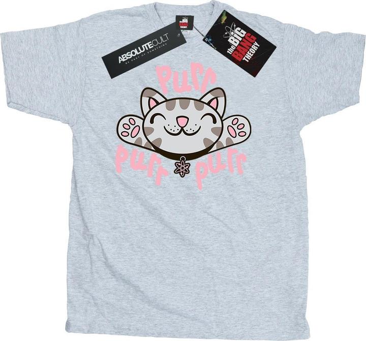 Big Bang Theory Soft Kitty Purr TShirt (3XL)