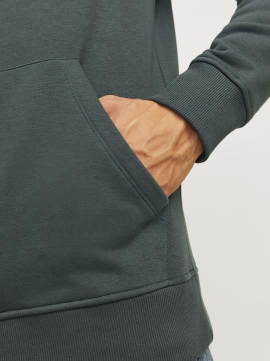 Produktbild Jack & Jones Jorportland Block Sweat Hood Ln (S)