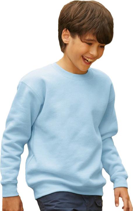 Actual product image Fruit of the Loom Pullover Premium 7030 (pack of 2) (116)