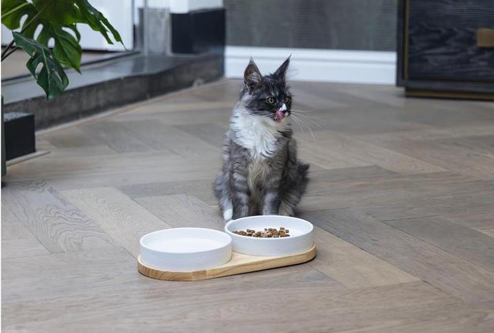 Actual product image Designed by Lotte Loijs double bowl (0.35 l)