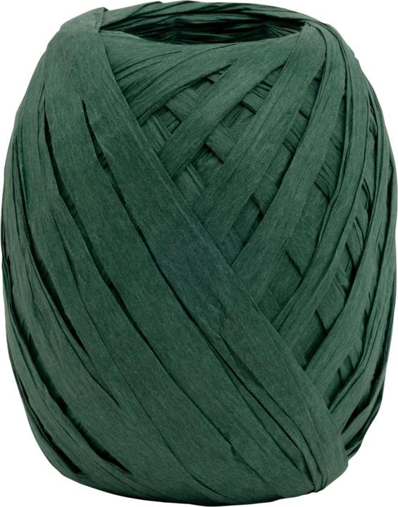 Goldina Raffia (Ruban, 1 x)