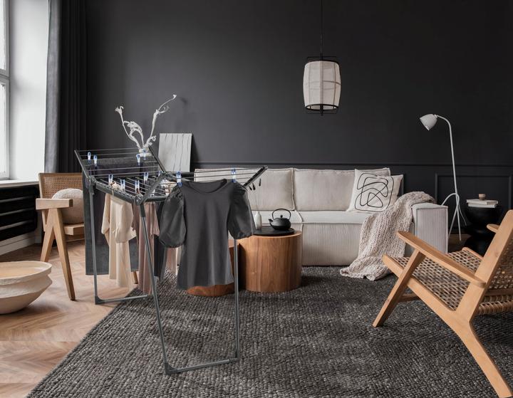 Immagine prodotto Leifheit Pegasus 150 Nero massiccio (15 m)