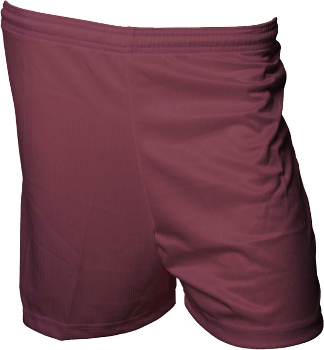 Produktbild Precision ErwachsenenFussballshorts mit MikroStreifen (XL)