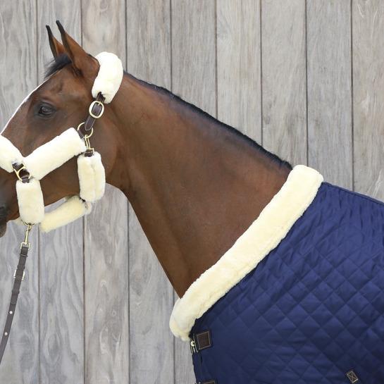 Actual product image Kentucky Horsewear Demonstration rope 2m Biothane Beta