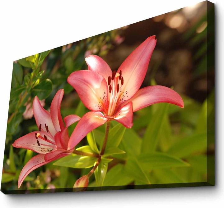 Produktbild Wallxpert Bria (45 x 70 cm)