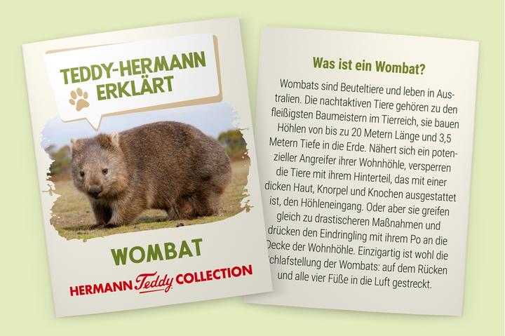 Produktbild Teddy Hermann Wombat 26 cm (16 cm)