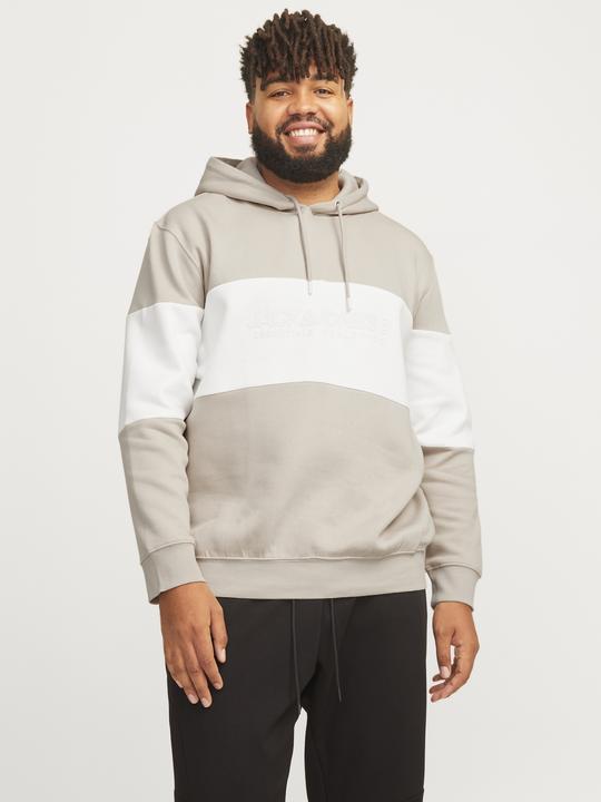 Produktbild Jack & Jones Jjelegacy Blocking Sweat Hood Noos Pls (4XL)
