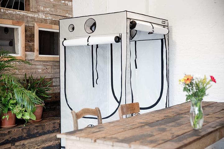 Actual product image Homebox Ambient Q60+