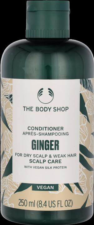 Body Shop Die (250 ml)