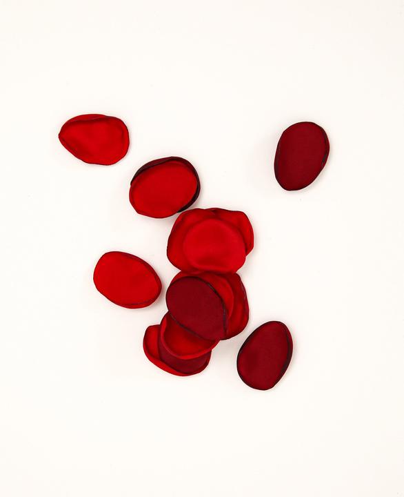 Image du produit Esmée Pétales de rose en soie