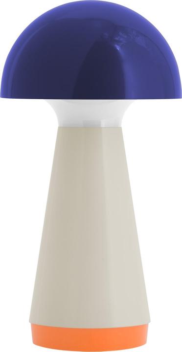 Actual product image Remember Bobbi (60 lm)