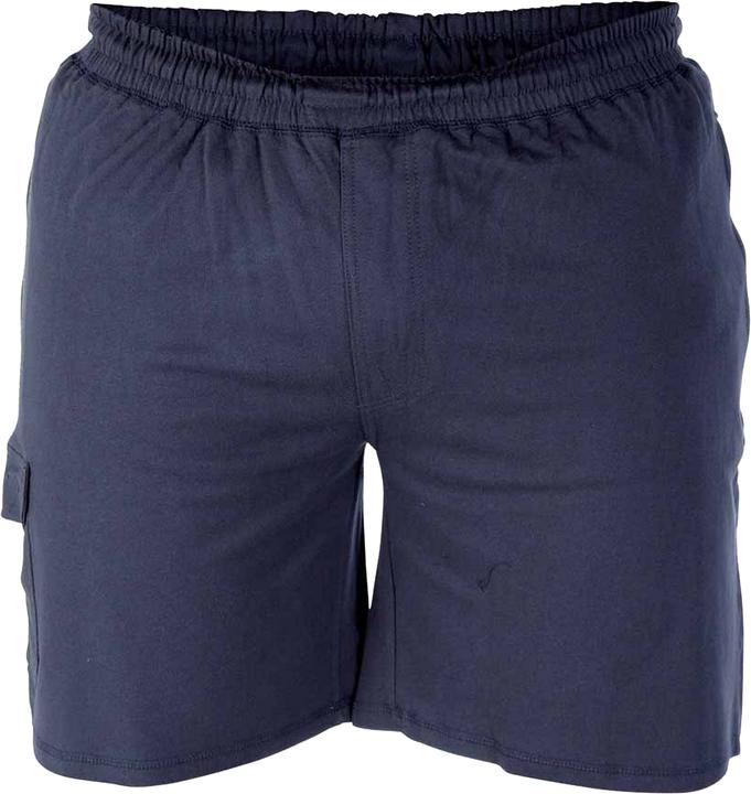 Bleu marine