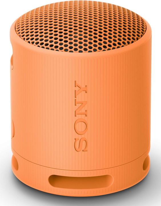Productafbeelding Sony SRS-XB100 (16 h, Oplaadbare batterij)