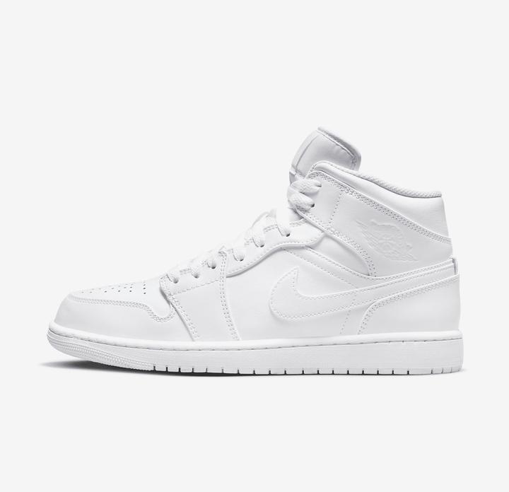 Nike Air Jordan 1 (46)